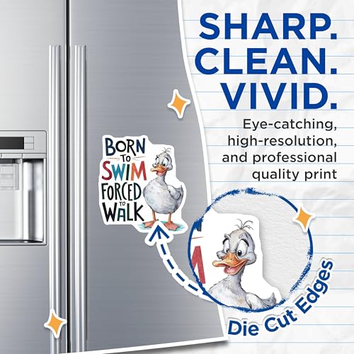 (2 Pack) Born to Swim Magnets Magnets - Forced to Walk - 5" On Longest Side - Made in USA - Sticks to Refrigerators & Metal Surfaces - MAG8548