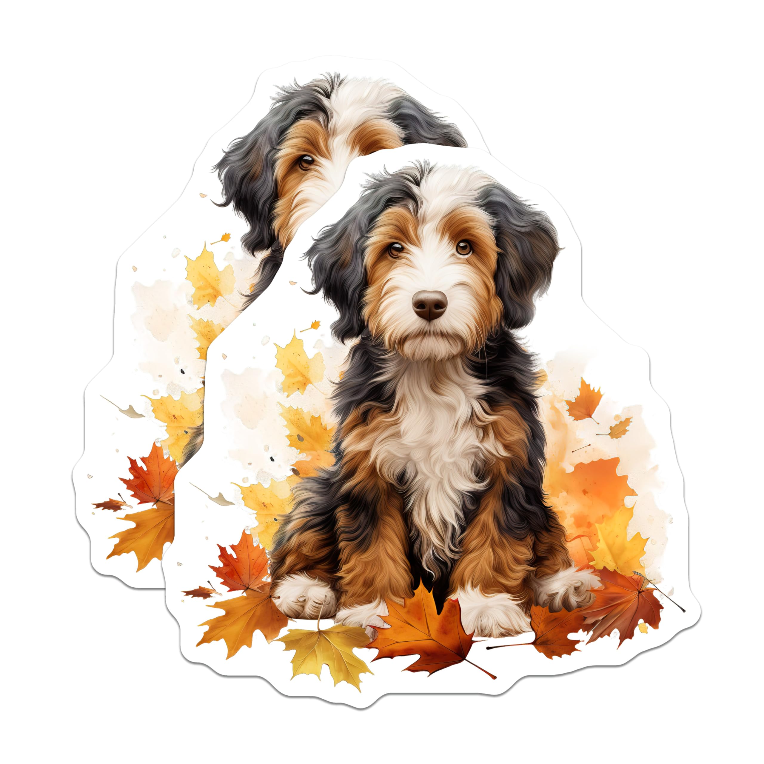 (2 Pack) Bernedoodle Puppy Magnets - Fall Autumn Decor - Dog Lover Home Accent - 5 Inches On Longest Side - Thick Durable Magnet - Made in USA - MAG30271