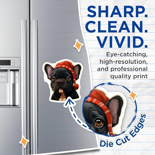 (2 Pack) French Bulldog Magnets - Cute Dog Magnets - Animal Design Fridge Magnets - Kitchen - 5" On Longest Side - for Cars, Fridges, Toolboxes - Made in USA - MAG3940
