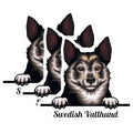 (3 Pack) Swedish Vallhund Decals - Dog Breed Sticker - Laptop Decal - 3 Inches On Longest Side - Easy Peel & Apply - Made in USA - 3MCS2992