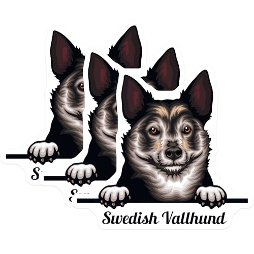 (3 Pack) Swedish Vallhund Decals - Dog Breed Sticker - Laptop Decal - 3 Inches On Longest Side - Easy Peel & Apply - Made in USA - 3MCS2992