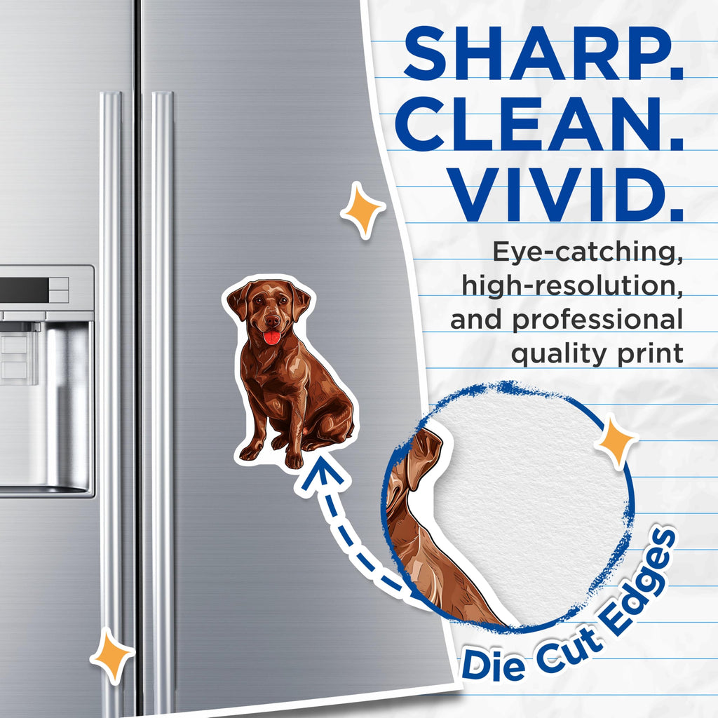(2 Pack) Chocolate Labrador Magnets - Cute Dog Refrigerator Decoration - Pet Lover Gifts - 5" On Longest Side - Premium Magnet - for Cars, Refrigerators, Toolboxes, Lockers - Made in USA - MAG16924
