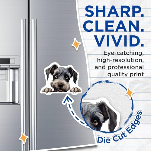 (2 Pack) Schnauzer Fridge Art Magnet - Animal Lover Kitchen Decoration - Dog Lover Refrigerator Decor - 5" On Longest Side - Sticks to Smooth Flat Surfaces - Made in USA - MAG9927