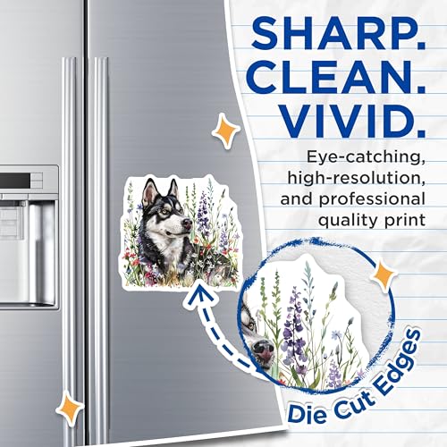 (2 Pack) Husky Dog Magnets - Floral Dog Decor - Cute Husky Art Prints - 5" On Longest Side - for Cars, Fridges, Toolboxes - Made in USA - MAG7077
