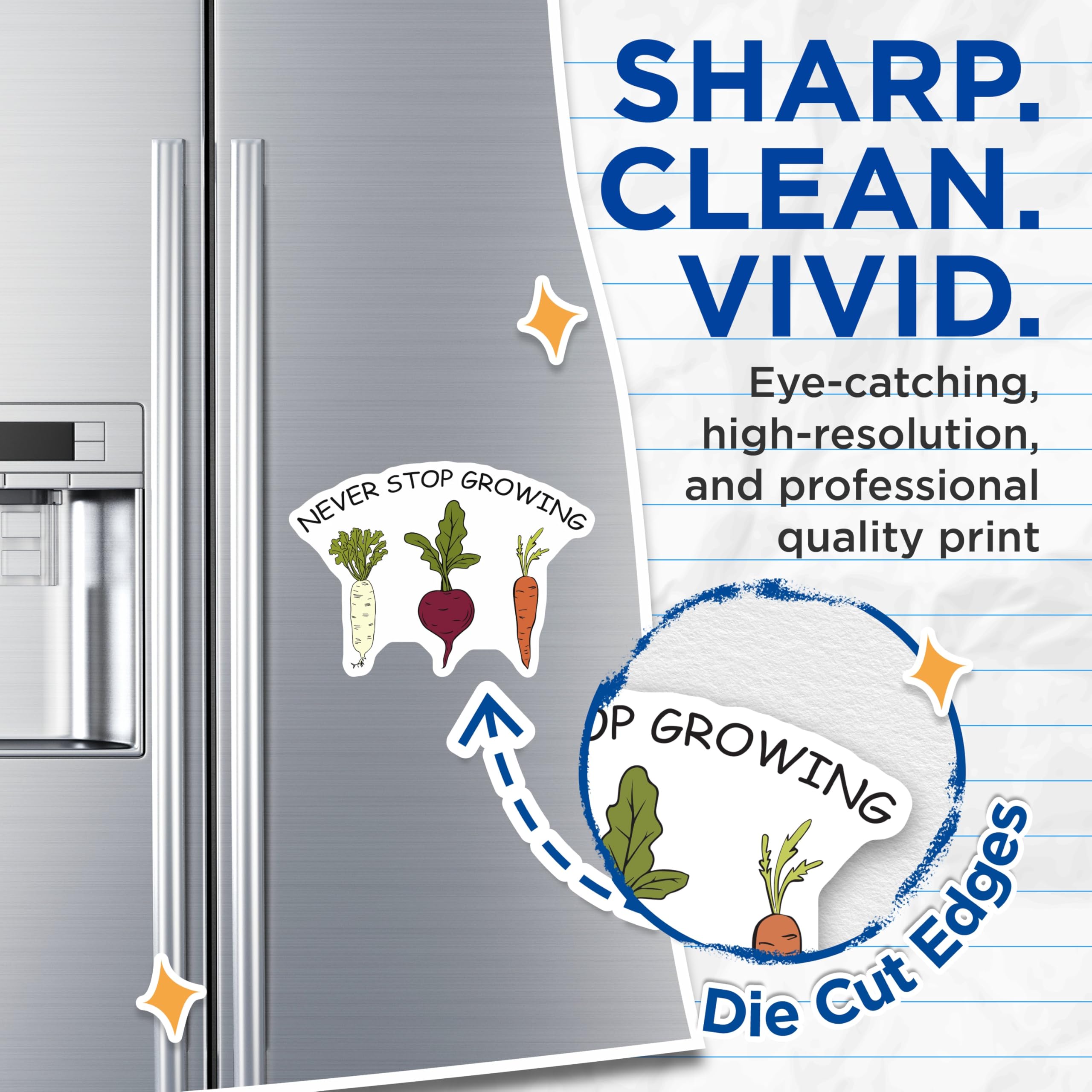 (2 Pack) Vegetable Magnets - Funny Fridge Magnets - Never Stop Growing Decor - 5" On Longest Side - Premium Magnet - for Cars, Refrigerators, Toolboxes, Lockers - Made in USA - MAG17930