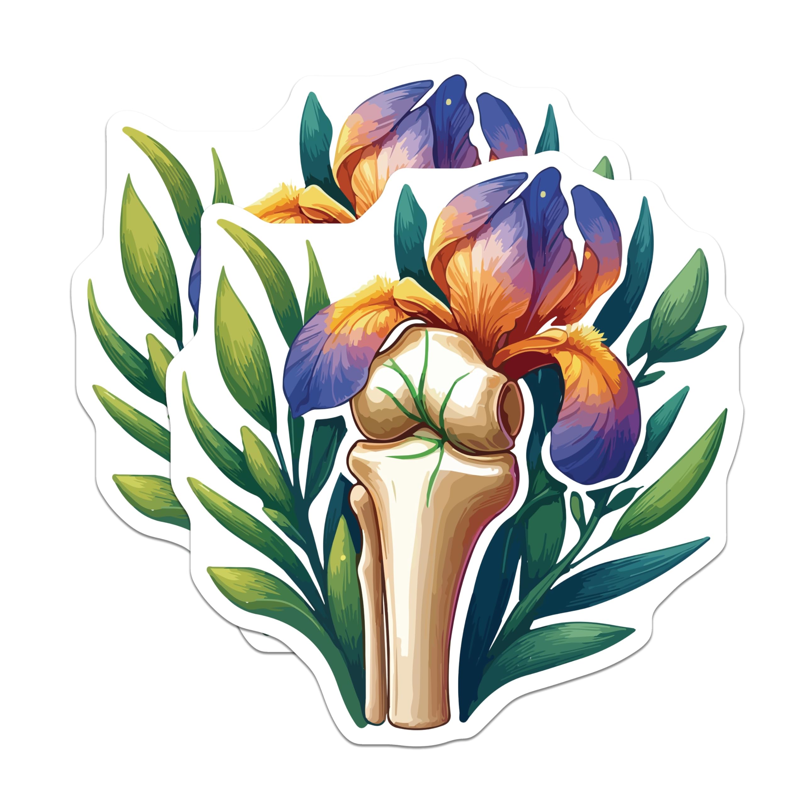 (2 Pack) Human Anatomy Bone Iris Magnets - Medical Floral Science Decor - Orthopedic Biology Student Accent - 5 Inches On Longest Side - Thick Durable Magnet - Made in USA - MAG19780