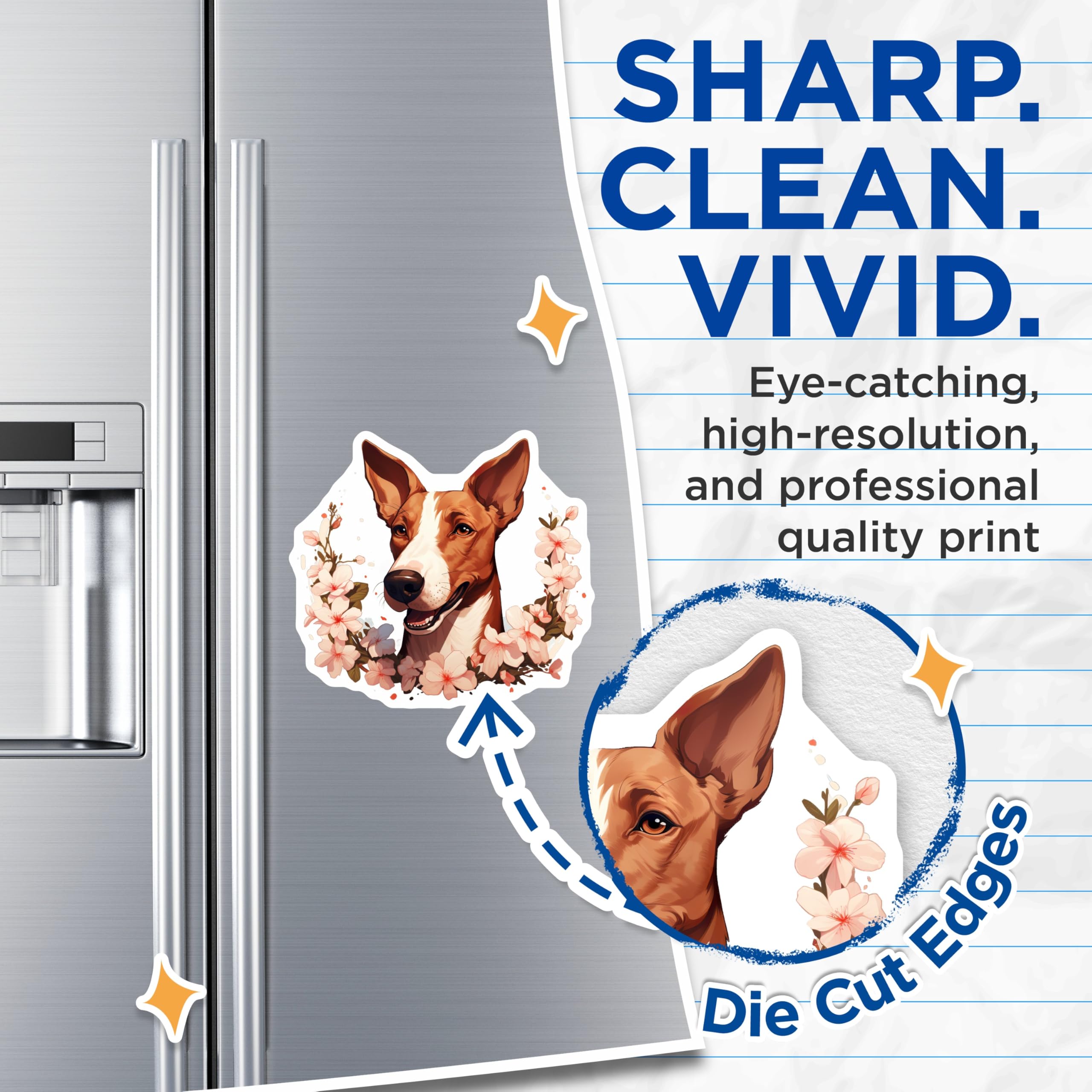 (2 Pack) Basenji Dog Magnets - Floral Cherry Blossom Pet Decor - Smiling Canine Refrigerator Art - 5 Inches On Longest Side - Thick Durable Magnet - Made in USA - MAG23724