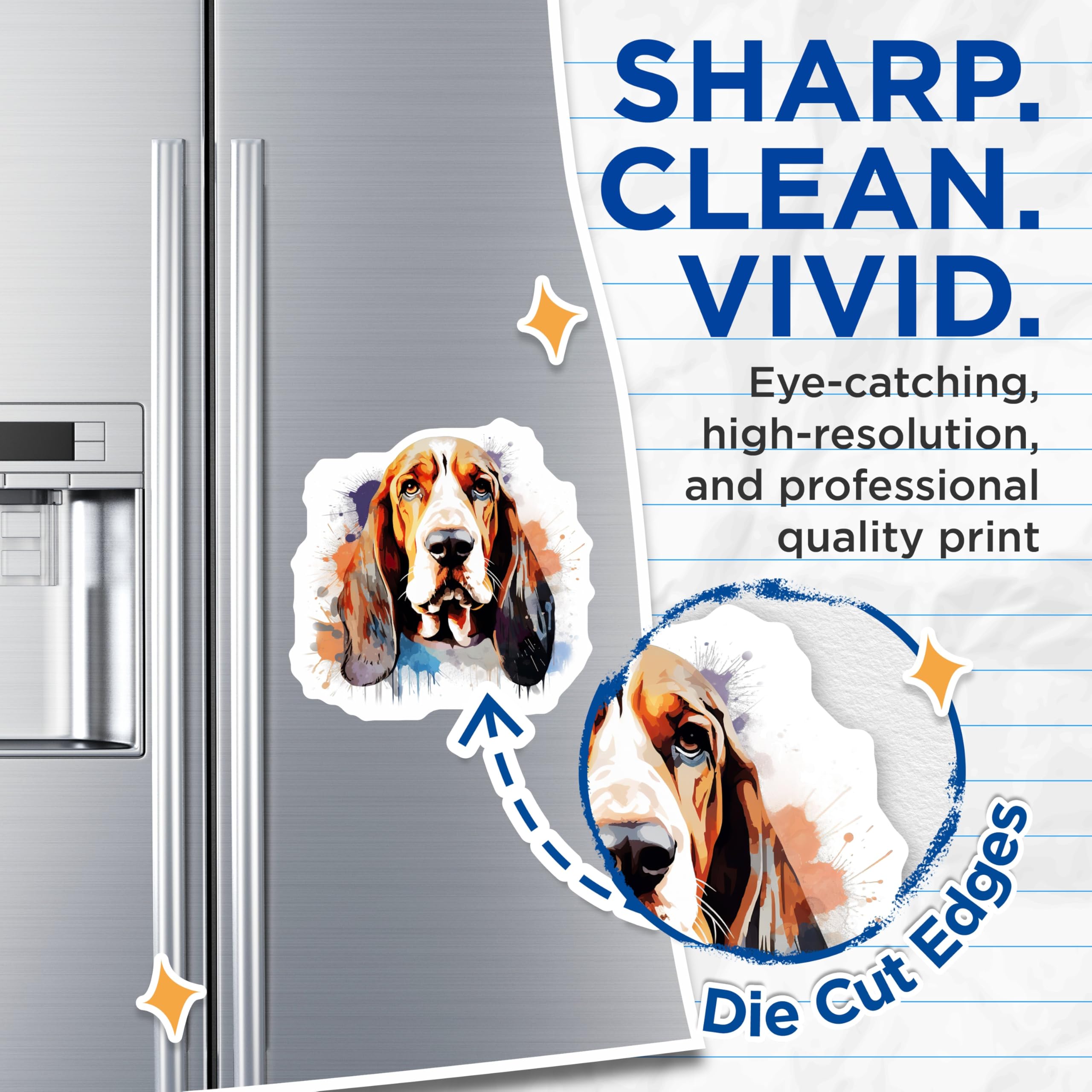 (2 Pack) Basset Hound Dog Magnets - Watercolor Dog Art - Pet Lover Fridge Display - 5 Inches On Longest Side - Thick Durable Magnet - Made in USA - MAG23545