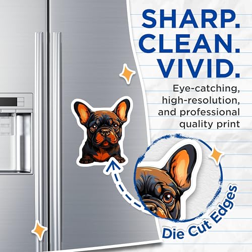 (2 Pack) Cute French Bulldog Magnets - Adorable Pet - Frenchie Fridge Magnets - 5" On Longest Side - for Cars, Fridges, Toolboxes - Made in USA - MAG3944