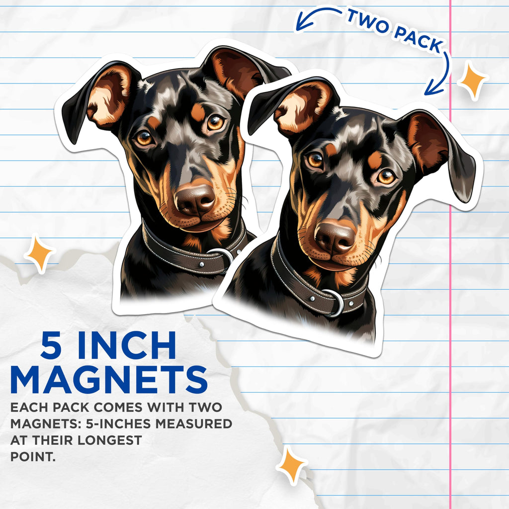 (2 Pack) Doberman Pinscher Dog Magnets - Realistic Pet Portrait - Dog Owner Home Decor - 5 Inches On Longest Side - Thick Durable Magnet - Made in USA - MAG28067