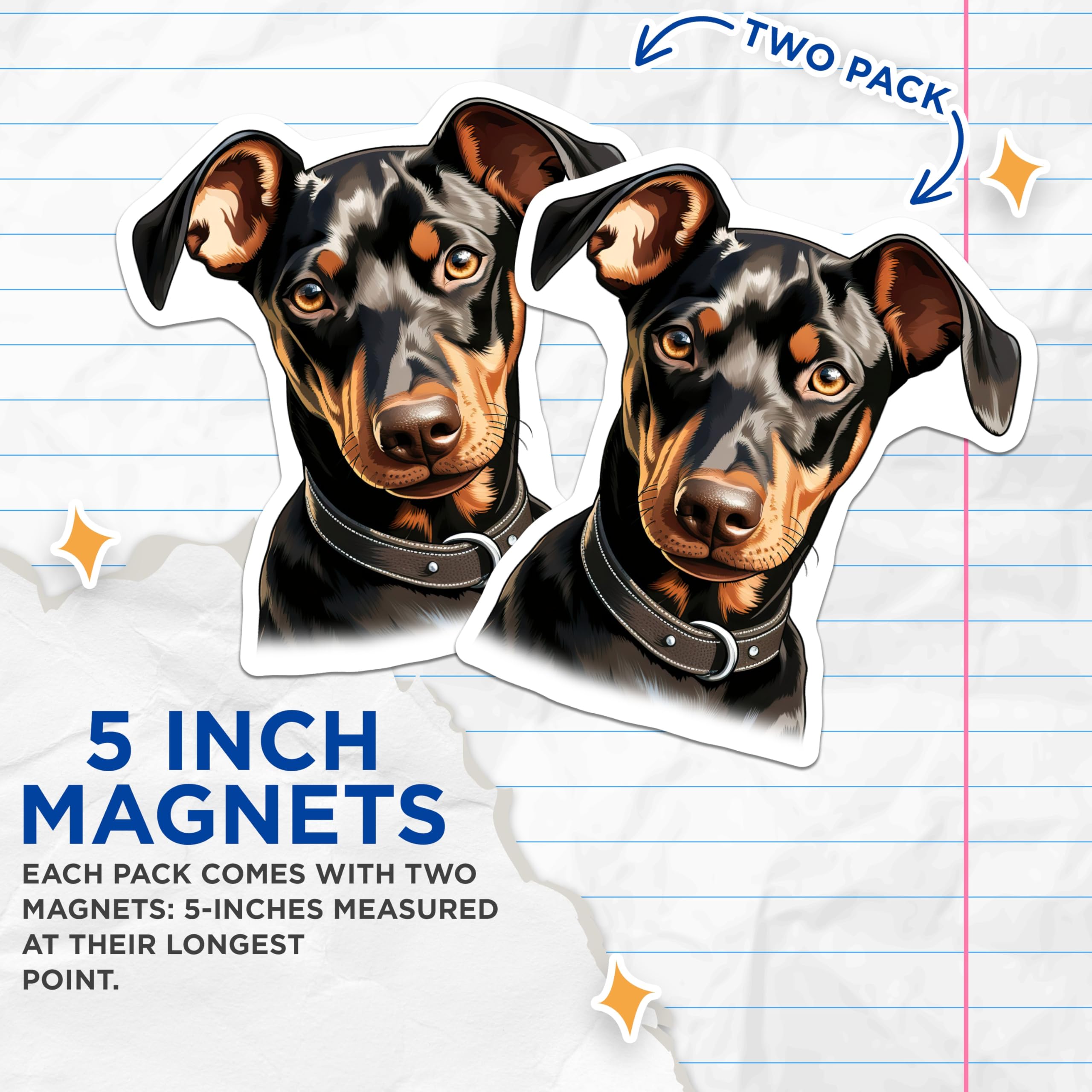 (2 Pack) Doberman Pinscher Dog Magnets - Realistic Pet Portrait - Dog Owner Home Decor - 5 Inches On Longest Side - Thick Durable Magnet - Made in USA - MAG28067