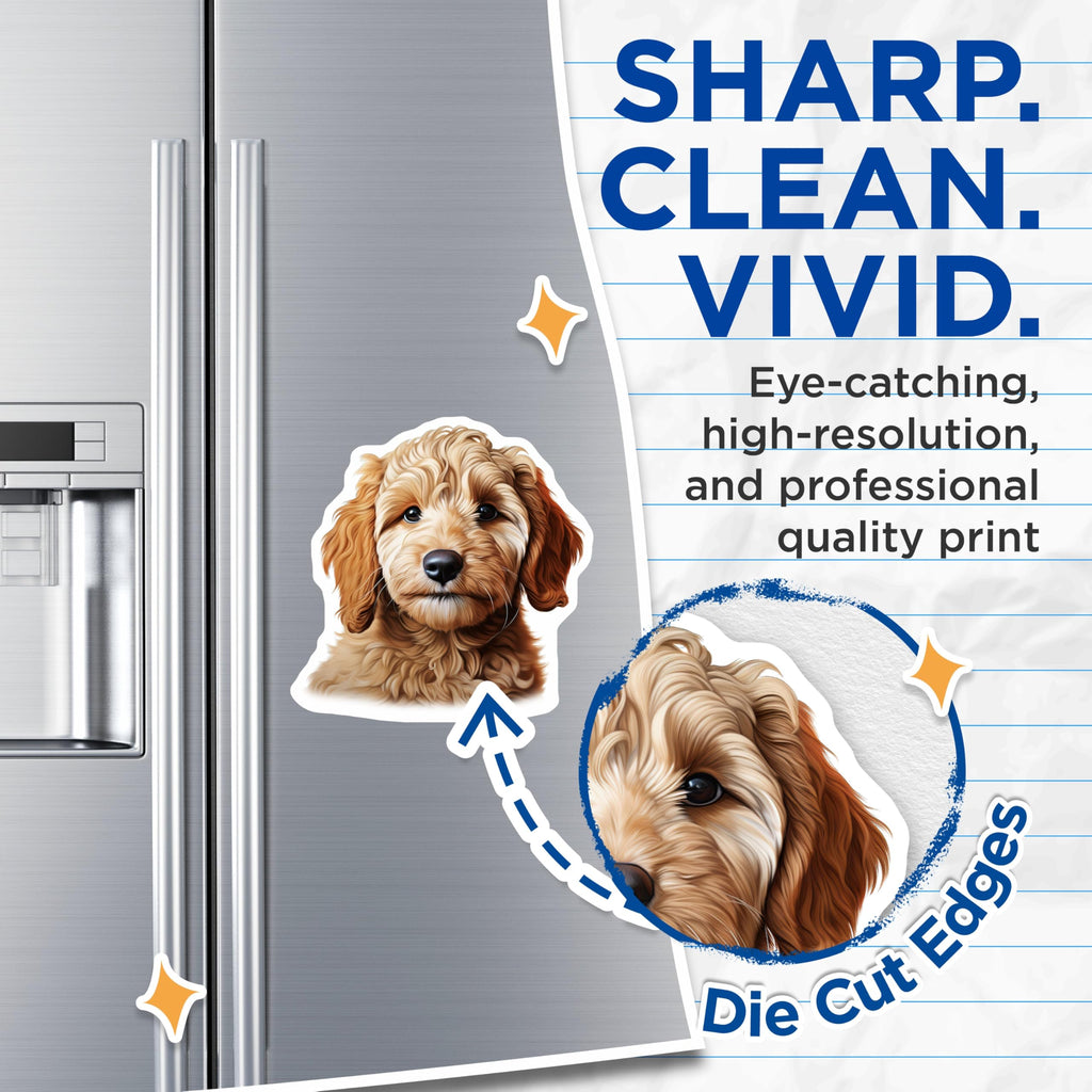 (2 Pack) Goldendoodle Puppy Magnets - Cute Dog Lover Decor - Pet Parent Refrigerator Accessory - 5 Inches On Longest Side - Thick Durable Magnet - Made in USA - MAG30267