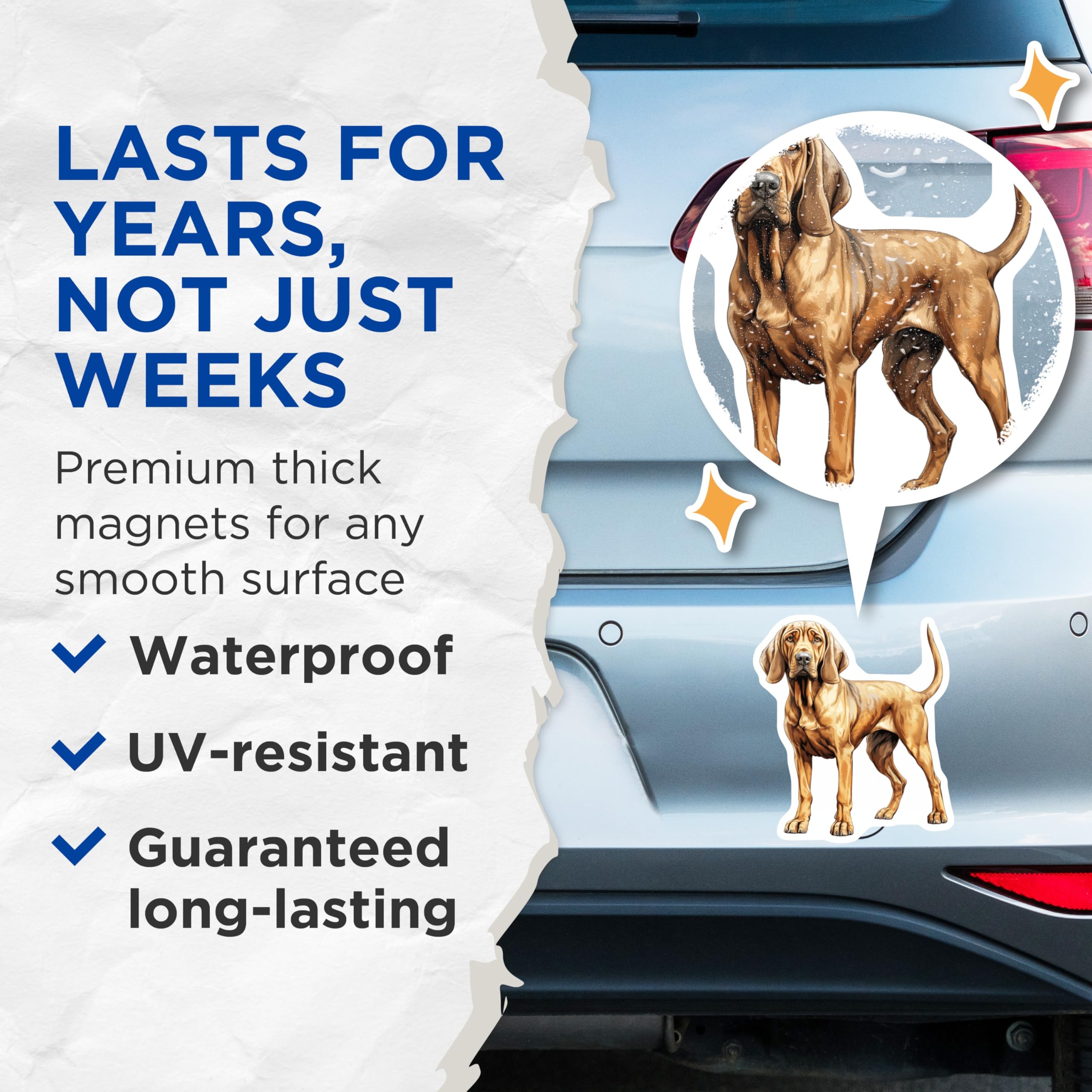 (2 Pack) Bloodhound Dog Magnets - Realistic Hound Lover Refrigerator Magnets - Pet Parent Decor for Home Kitchen - 5 Inches On Longest Side - Thick Durable Magnet - Made in USA - MAG30670