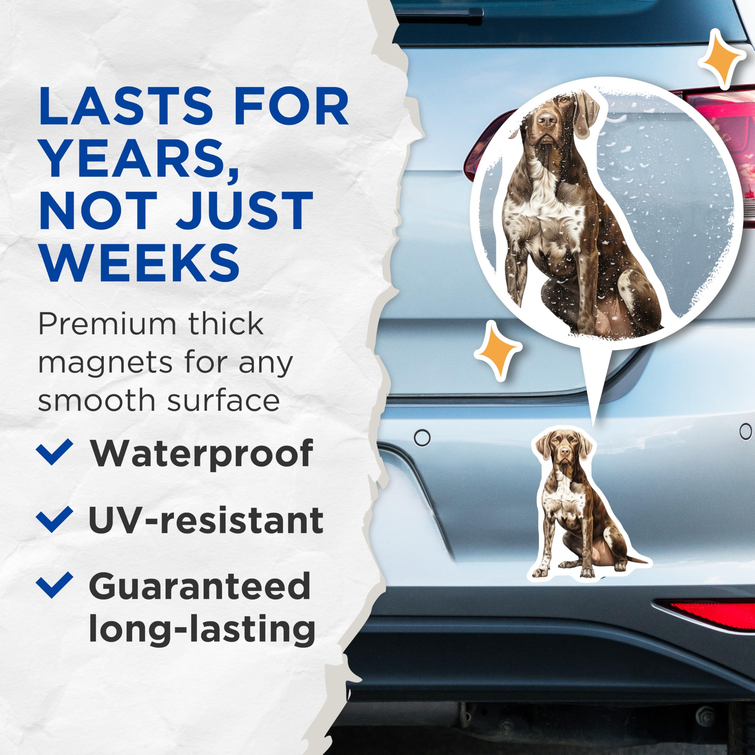 (2 Pack) German Shorthaired Pointer Magnets - GSP Dog Lover Decor - Pet Parent Animal Art for Fridge - 5 Inches On Longest Side - Thick Durable Magnet - Made in USA - MAG29391
