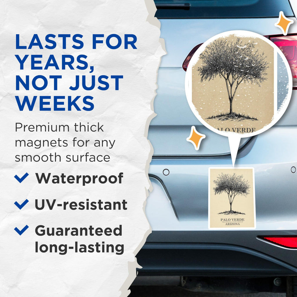 (2 Pack) Palo Verde Magnets - Arizona State Tree Magnets - Desert Tree Decor - 5" On Longest Side - Premium Magnet - for Cars, Refrigerators, Toolboxes, Lockers - Made in USA - MAG18506