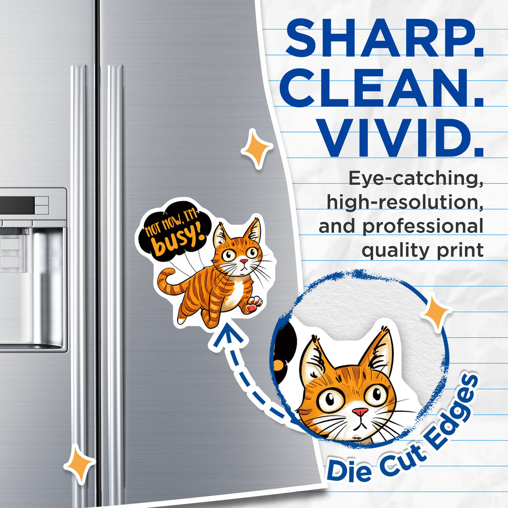(2 Pack) Funny Cat Magnets - Busy Kitty Fridge Decor - Sassy Cat Lover Pet Owner Humor - 5 Inches On Longest Side - Thick Durable Magnet - Made in USA - MAG37583