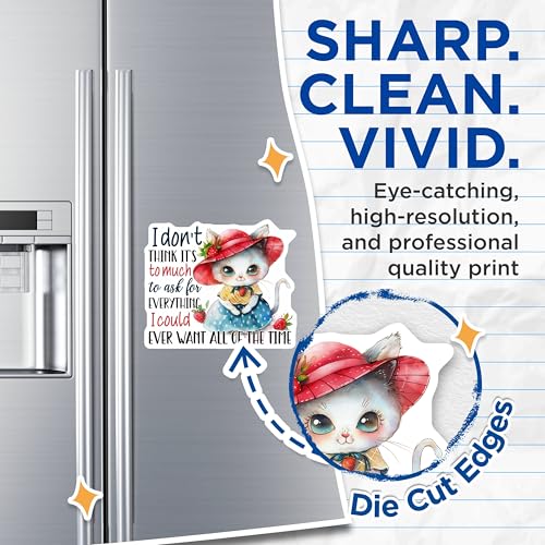 (2 Pack) Cute Cat Magnets - Funny Quote Magnets - Cat Lover Kitchen - Fridge Magnet Art ations - 5" On Longest Side - for Cars, Fridges, Toolboxes - Made in USA - MAG4351