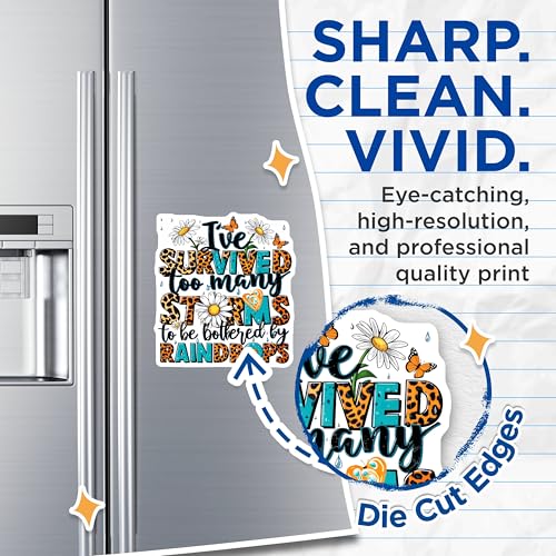 (2 Pack) I ve Survived Too Many Storms Magnets Magnets - Inspirational Quote - Floral Design - 5" On Longest Side - Made in USA - Sticks to Refrigerators & Metal Surfaces - MAG8921