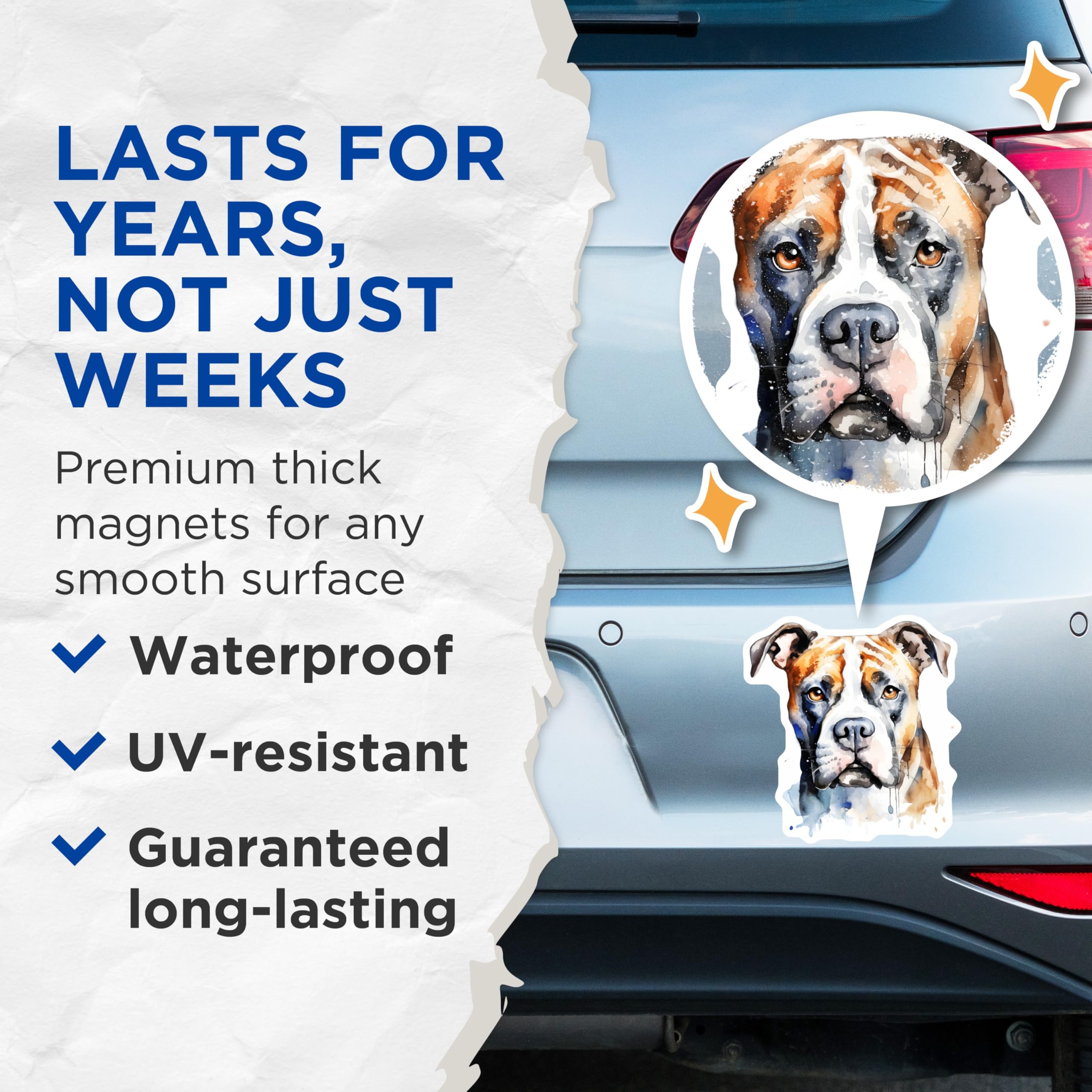 (2 Pack) Boxer Dog Watercolor Magnets - Unique Pet Art Magnet - Dog Mom Dad Fridge Decor - Animal Lover Kitchen - 5 Inches On Longest Side - Thick Durable Magnet - Made in USA - MAG28727