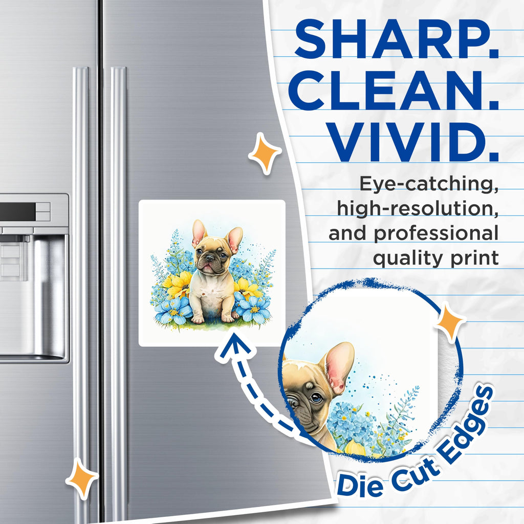 (2 Pack) French Bulldog Magnets - Cute Dog - Floral Home Decor - 5" On Longest Side - Premium Magnet - for Cars, Refrigerators, Toolboxes, Lockers - Made in USA - MAG14971
