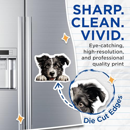 (2 Pack) Puppy Face Magnet - Animal Lover Gift - 5" On Longest Side - Sticks to Smooth Flat Surfaces - Made in USA - MAG9945