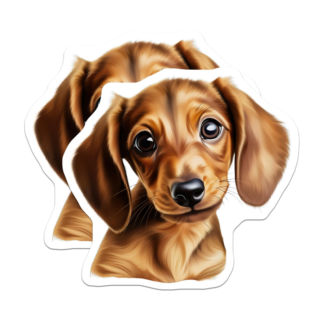 (2 Pack) Dachshund Magnets - Cute Wiener Dog Art Decor - Puppy Face Pet Lover Fridge Refrigerator Supplies - 5 Inches On Longest Side - Thick Durable Magnet - Made in USA - MAG27784