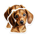 (2 Pack) Dachshund Magnets - Cute Wiener Dog Art Decor - Puppy Face Pet Lover Fridge Refrigerator Supplies - 5 Inches On Longest Side - Thick Durable Magnet - Made in USA - MAG27784