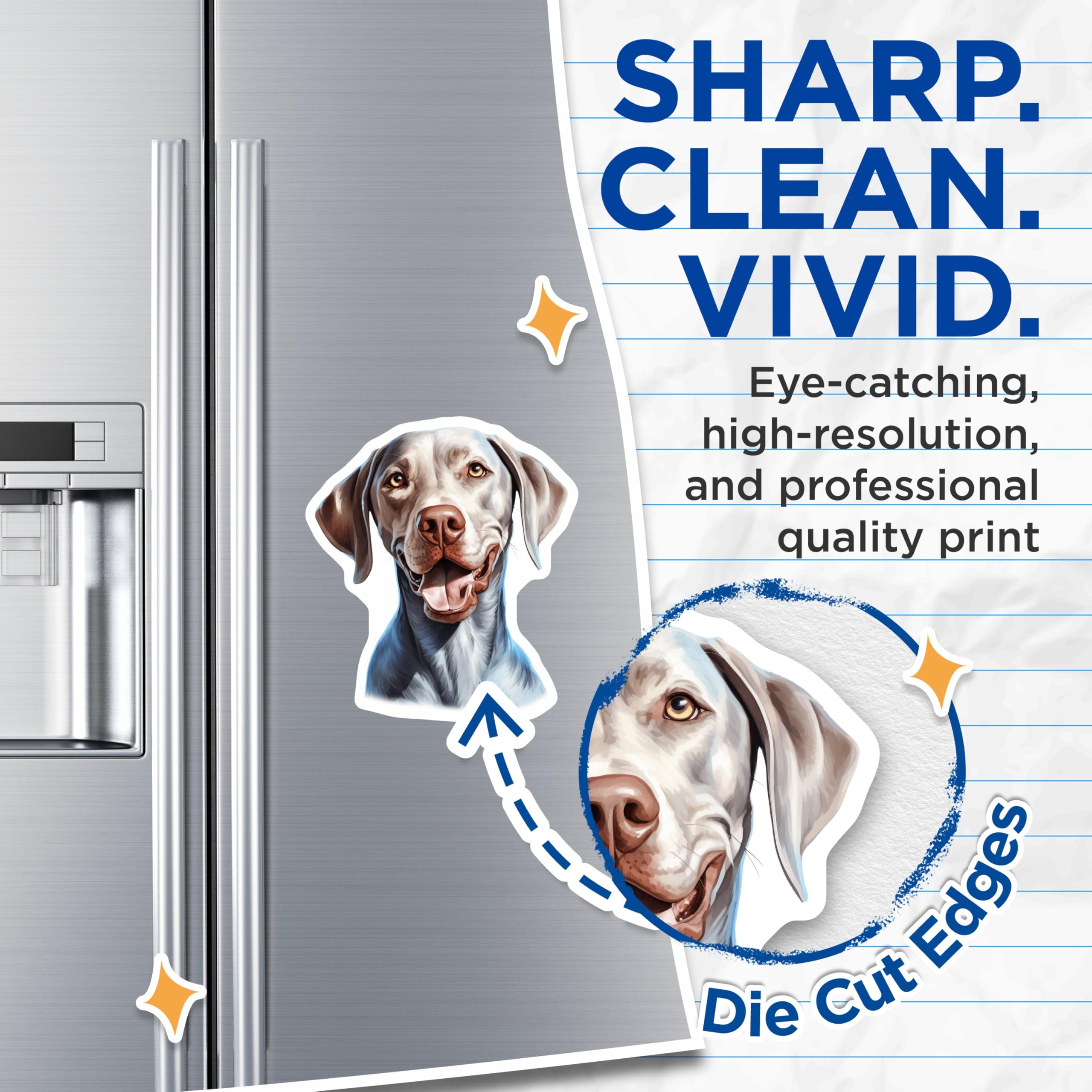 (2 Pack) Weimaraner Dog Magnets - Pet Lover Refrigerator Decor - Weimaraner Art - 5 Inches On Longest Side - Thick Durable Magnet - Made in USA - MAG29662