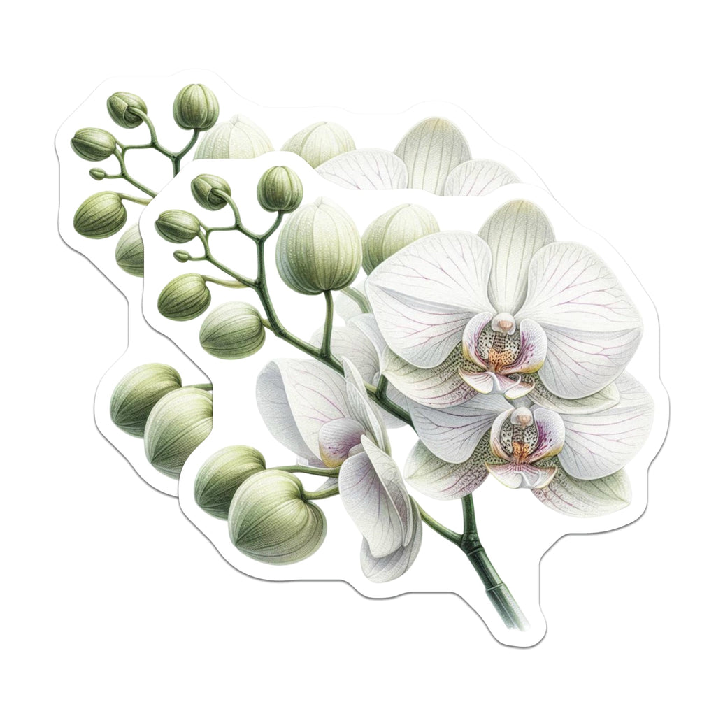 (2 Pack) White Orchid Magnets - Exquisite Botanical Floral Decor - Nature Inspired Refrigerator Home Accents - 5 Inches On Longest Side - Thick Durable Magnet - Made in USA - MAG22132