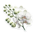 (2 Pack) White Orchid Magnets - Exquisite Botanical Floral Decor - Nature Inspired Refrigerator Home Accents - 5 Inches On Longest Side - Thick Durable Magnet - Made in USA - MAG22132