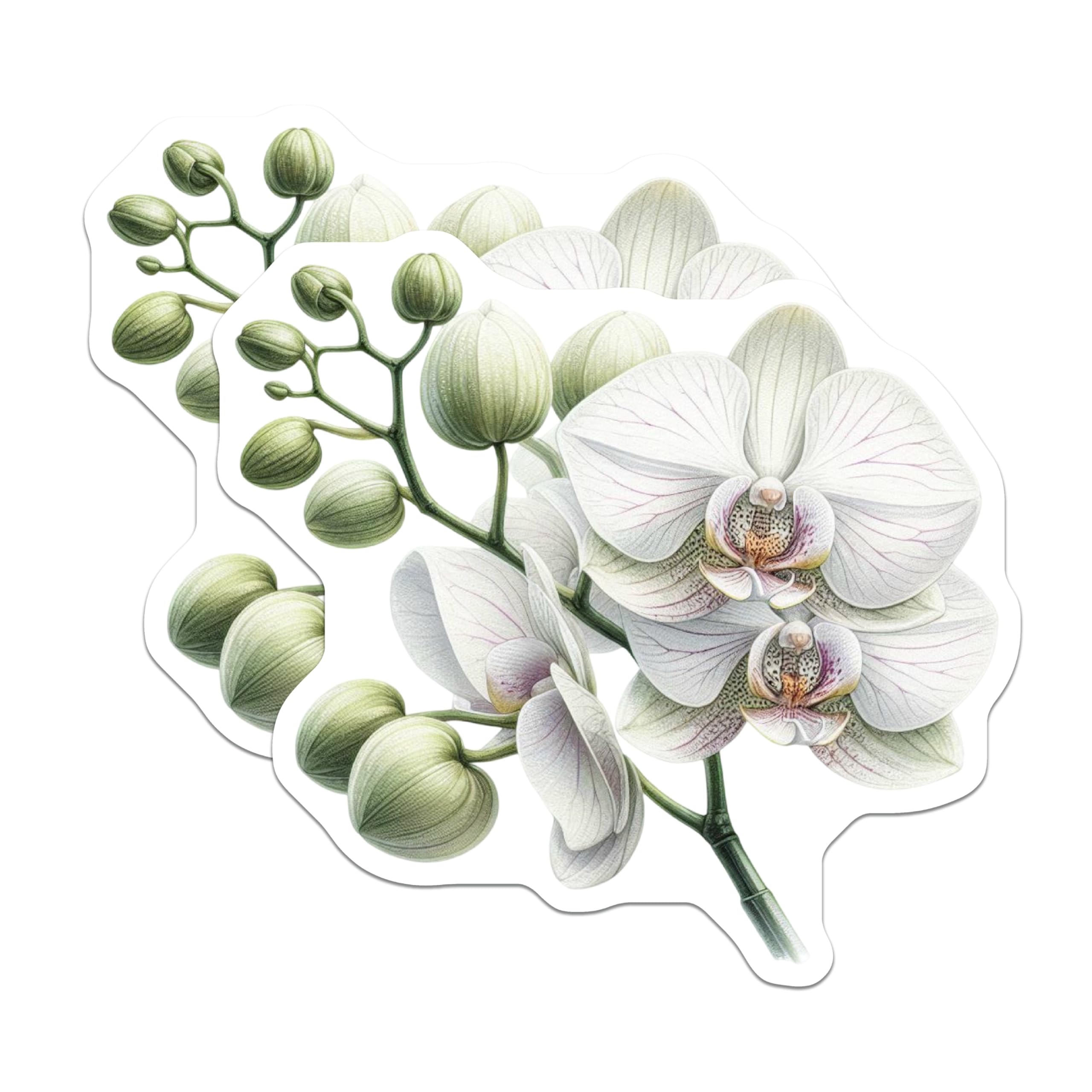 (2 Pack) White Orchid Magnets - Exquisite Botanical Floral Decor - Nature Inspired Refrigerator Home Accents - 5 Inches On Longest Side - Thick Durable Magnet - Made in USA - MAG22132