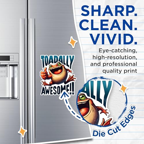 (2 Pack) Toadally Awesome Magnets - Funny Animal Magnets - Cool Fridge Magnets for Kids- 5" On Longest Side - for Fridges, Toolboxes, Cars - Made in USA - MAG2639
