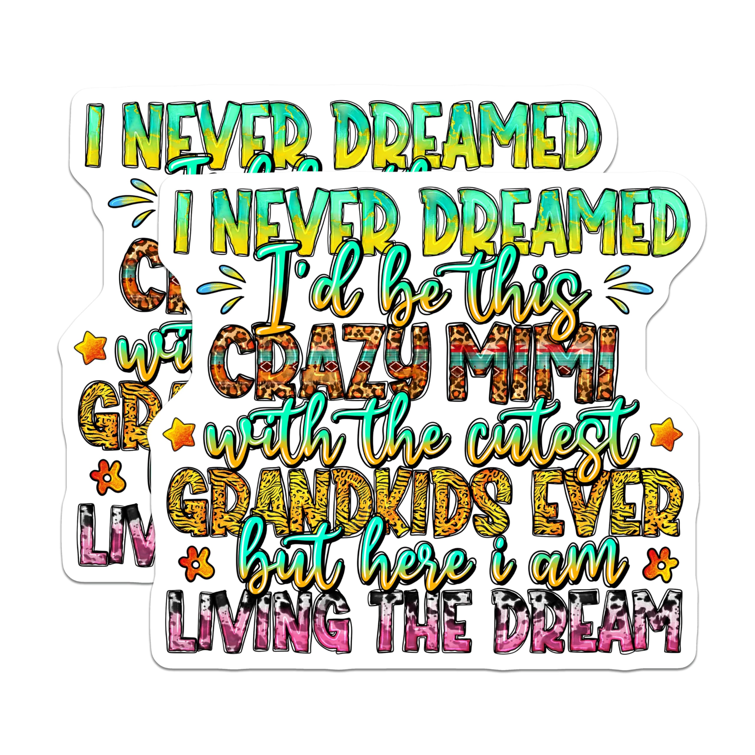 (2 Pack) Crazy Mimi Magnets - Cutest Grandkids Ever - Fun Grandma Accessories - 5 Inches On Longest Side - Thick Durable Magnet - Made in USA - MAG25894