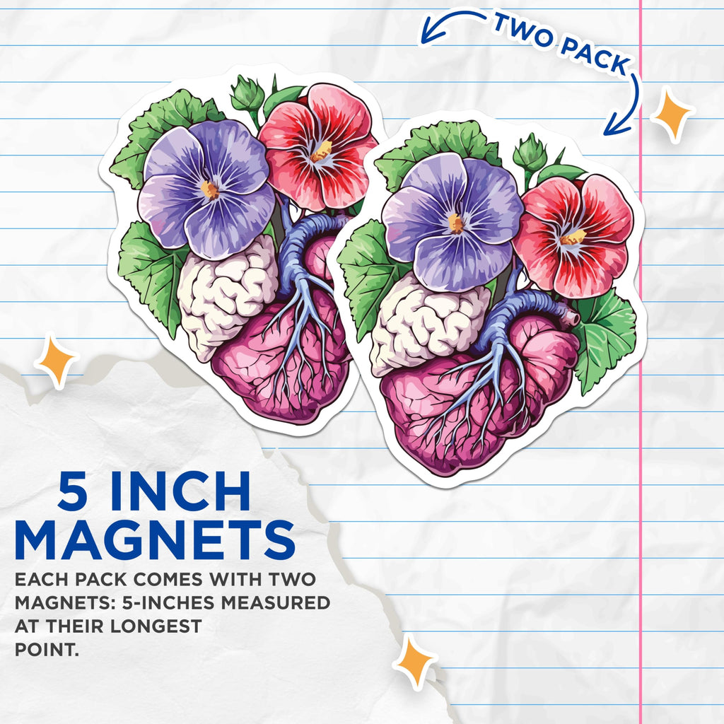 (2 Pack) Anatomical Heart Brain Magnets - Floral Science Art Decor - Unique Medical Illustration - 5 Inches On Longest Side - Thick Durable Magnet - Made in USA - MAG20129