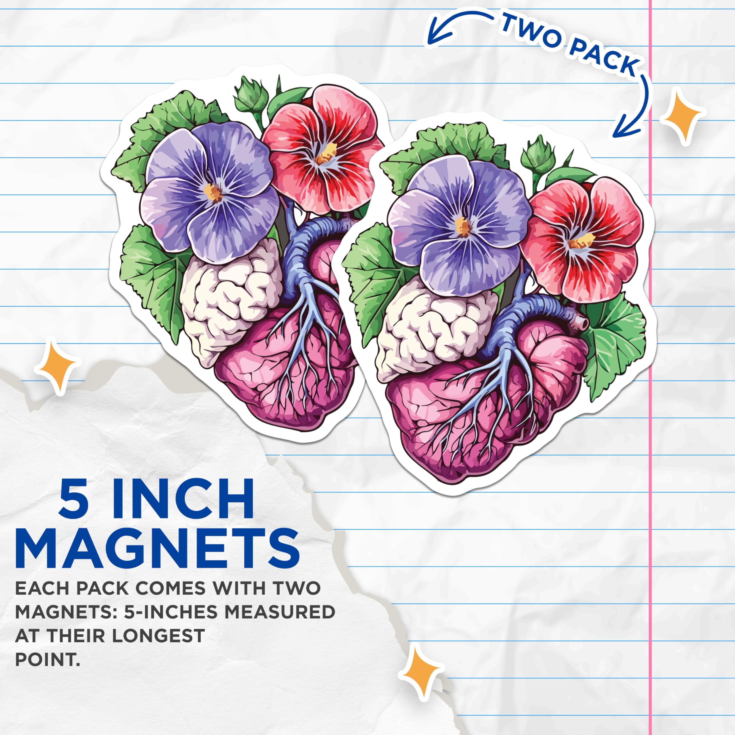 (2 Pack) Anatomical Heart Brain Magnets - Floral Science Art Decor - Unique Medical Illustration - 5 Inches On Longest Side - Thick Durable Magnet - Made in USA - MAG20129