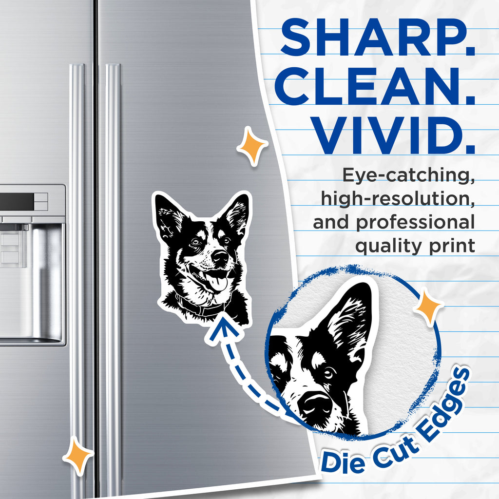 (2 Pack) Corgi Dog Magnets - Happy Pet Owner Refrigerator Magnet - Dog Lover Car Decor - 5 Inches On Longest Side - Thick Durable Magnet - Made in USA - MAG39186