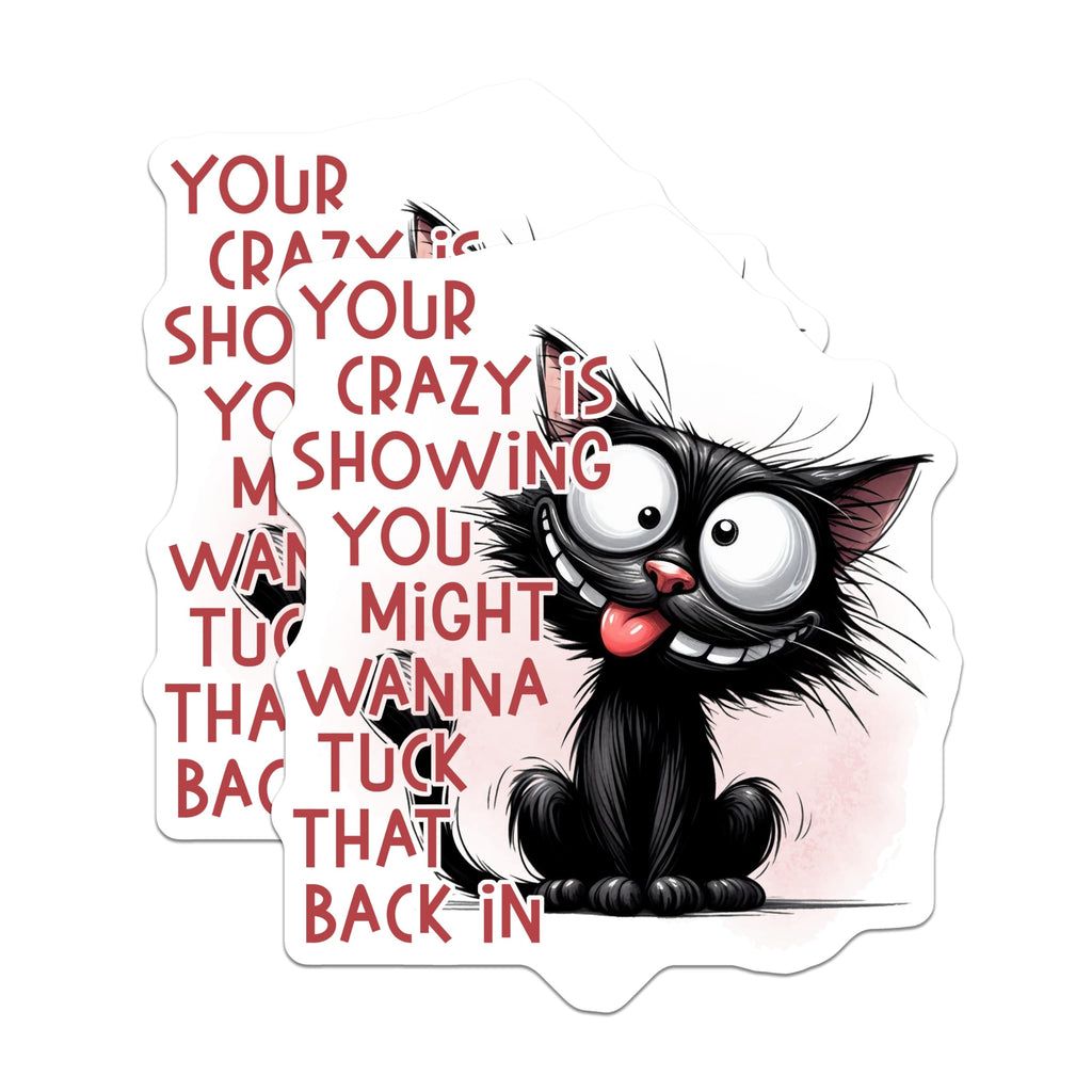 (2 Pack) Crazy Cat Magnets - Funny Quote Magnet - Quirky Refrigerator Magnet - 5" On Longest Side - Premium Magnet - for Cars, Refrigerators, Toolboxes, Lockers - Made in USA - MAG15320