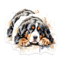 (2 Pack) Bernese Mountain Dog Magnets - BMD Refrigerator Decor - Canine Lover Souvenir - 5" On Longest Side - Premium Magnet - for Cars, Refrigerators, Toolboxes, Lockers - Made in USA - MAG15651