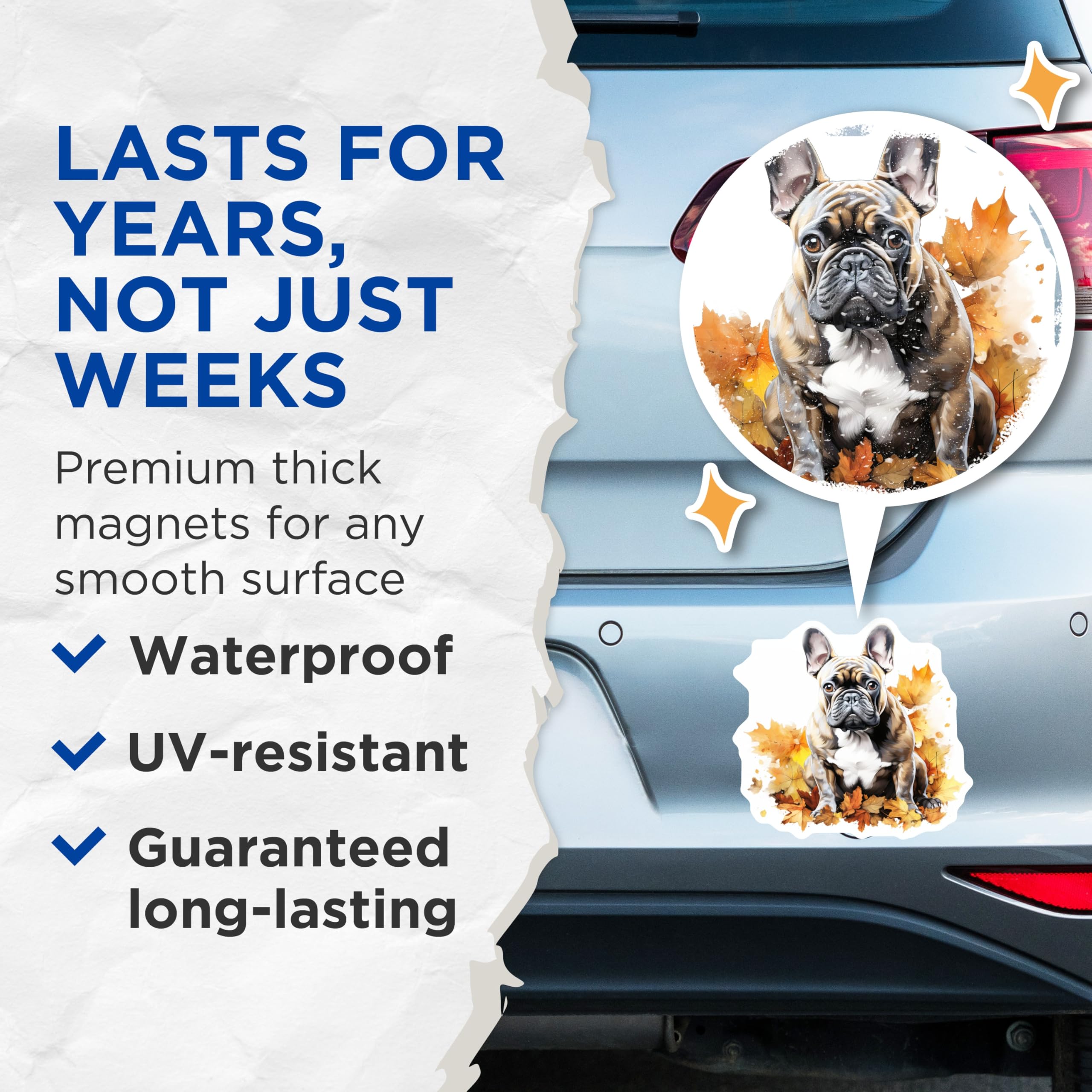(2 Pack) French Bulldog Magnets - Adorable Autumn Fall Leaves Decor - Brindle Frenchie Dog Lover Refrigerator Magnets - 5 Inches On Longest Side - Thick Durable Magnet - Made in USA - MAG24955