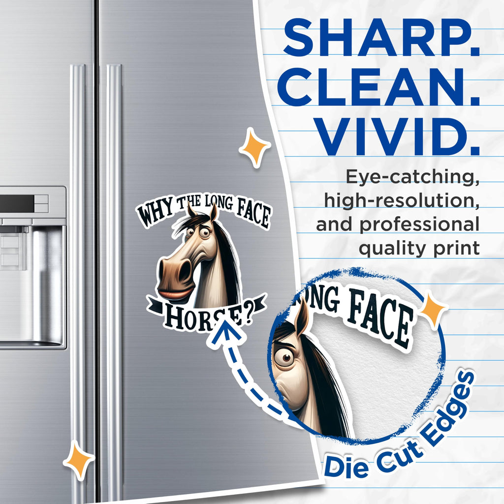 (2 Pack) Why The Long Face Horse Magnets - Funny Horse Magnets - Humorous Animal Magnets for Fridge- 5" On Longest Side - for Fridges, Toolboxes, Cars - Made in USA - MAG2640