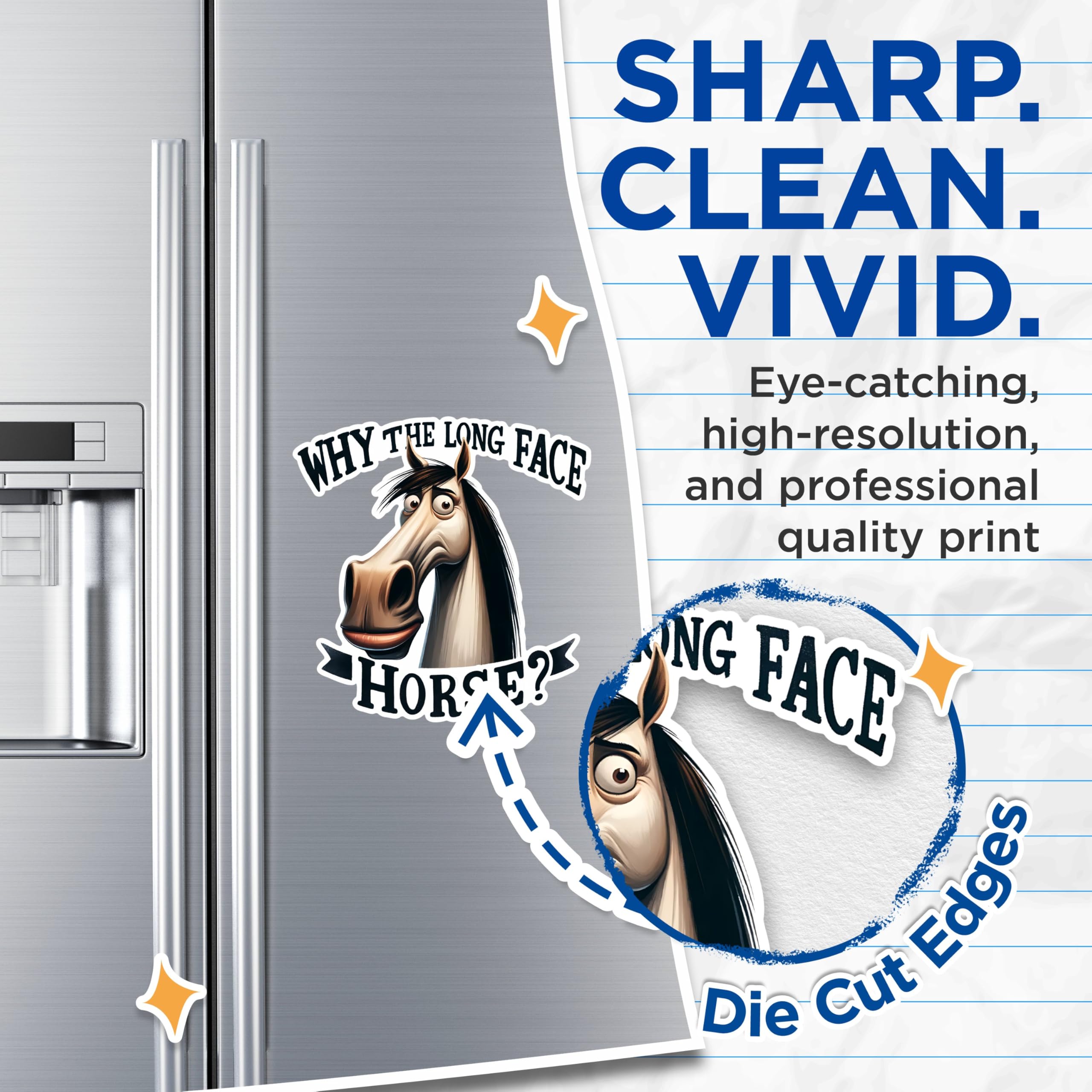 (2 Pack) Why The Long Face Horse Magnets - Funny Horse Magnets - Humorous Animal Magnets for Fridge- 5" On Longest Side - for Fridges, Toolboxes, Cars - Made in USA - MAG2640