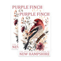 (2 Pack) Purple Finch Magnets - New Hampshire State Bird Art - Floral Nature Aesthetic Decor for Refrigerator - 5 Inches On Longest Side - Thick Durable Magnet - Made in USA - MAG19101