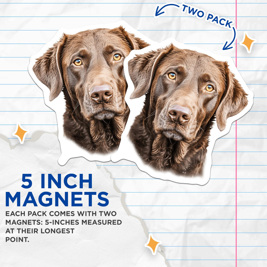 (2 Pack) Chocolate Labrador Magnets - Dog Lover Decor - Lab Retriever Art - Pet Owner Fridge Accent - 5 Inches On Longest Side - Thick Durable Magnet - Made in USA - MAG25701