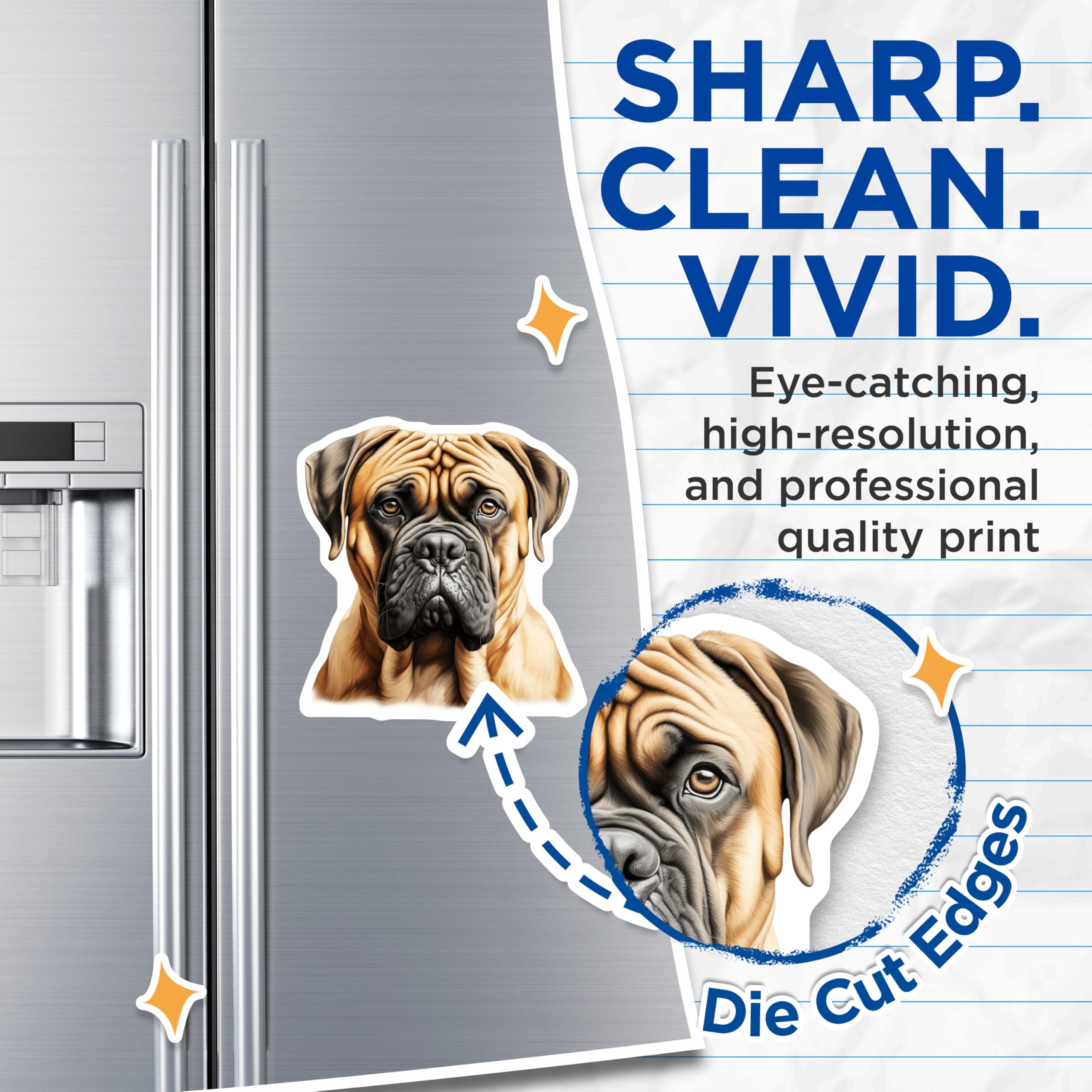 (2 Pack) Bullmastiff Magnets - Dog Breed Lover Decor - Pet Owner Kennel Accessories - Fridge Office Locker Display - 5 Inches On Longest Side - Thick Durable Magnet - Made in USA - MAG25029