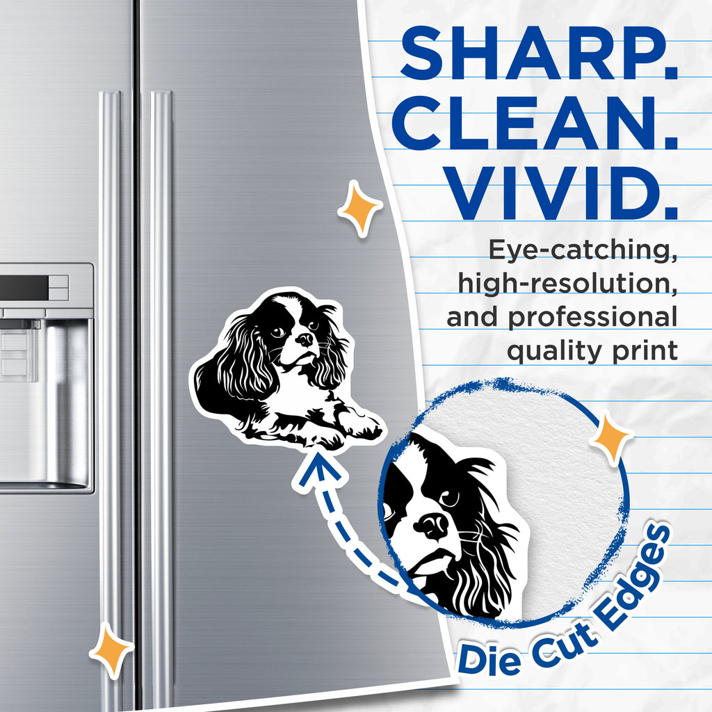 (2 Pack) Cavalier King Charles Spaniel Magnets - Dog Mom Accessories - Pet Lover Decor for Fridge - 5 Inches On Longest Side - Thick Durable Magnet - Made in USA - MAG38278