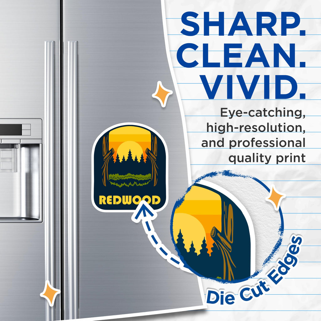 (2 Pack) Redwood Magnets - Redwood Forest - Sunset Souvenir - 5" On Longest Side - Premium Magnet - for Cars, Refrigerators, Toolboxes, Lockers - Made in USA - MAG18603