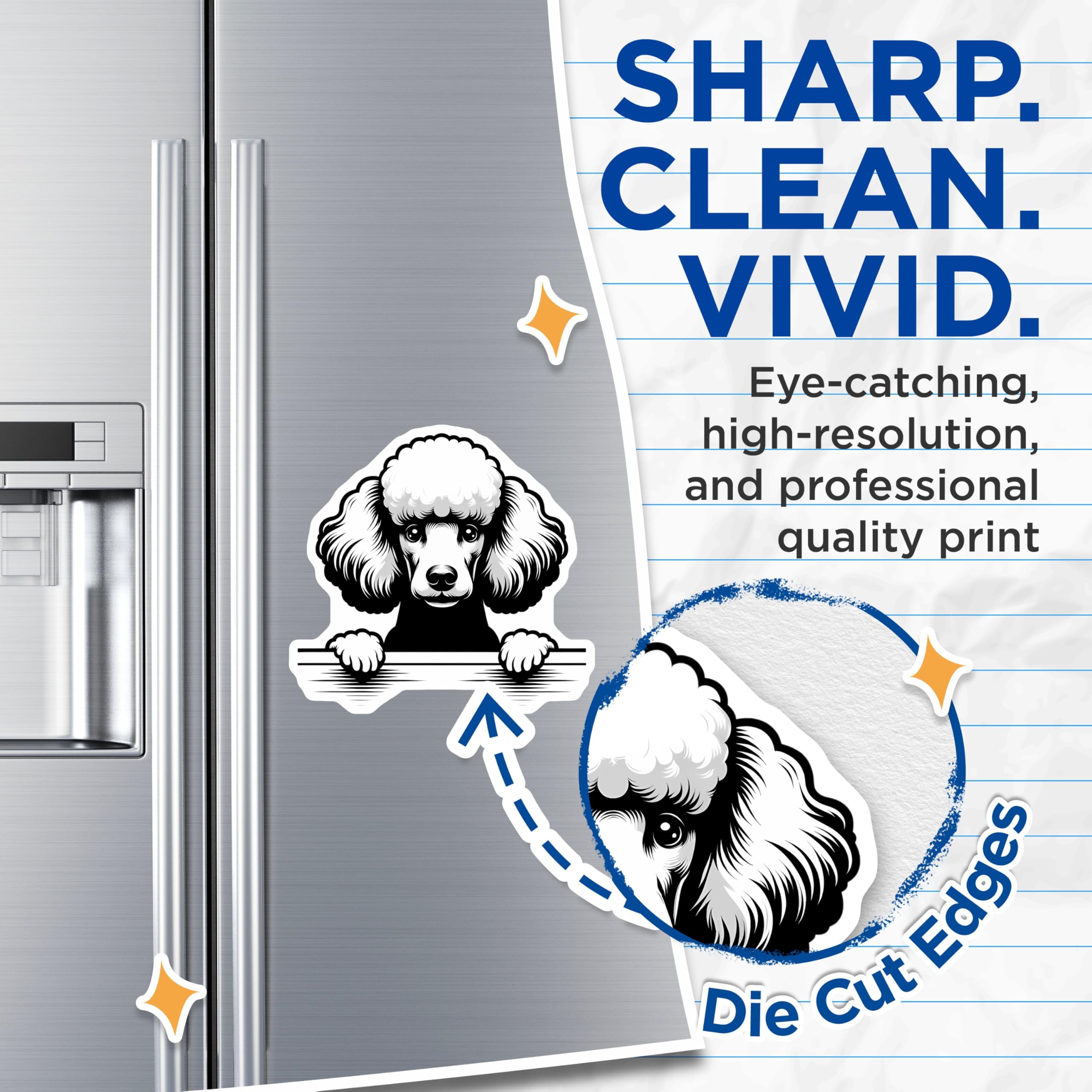 (2 Pack) Poodle Magnets - Cute Dog Magnets - Refrigerator Magnets - Pet Lover Decor - 5" On Longest Side - Premium Magnet - for Cars, Refrigerators, Toolboxes, Lockers - Made in USA - MAG15217