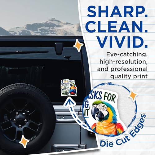 (2 Pack) Life Quote Parrot Stickers - Inspirational Quote Sticker - Colorful Parrot Decals - 5" On Longest Side - Sticks to Smooth Flat Surfaces - Made in USA - BMCS8757 - Life Advice