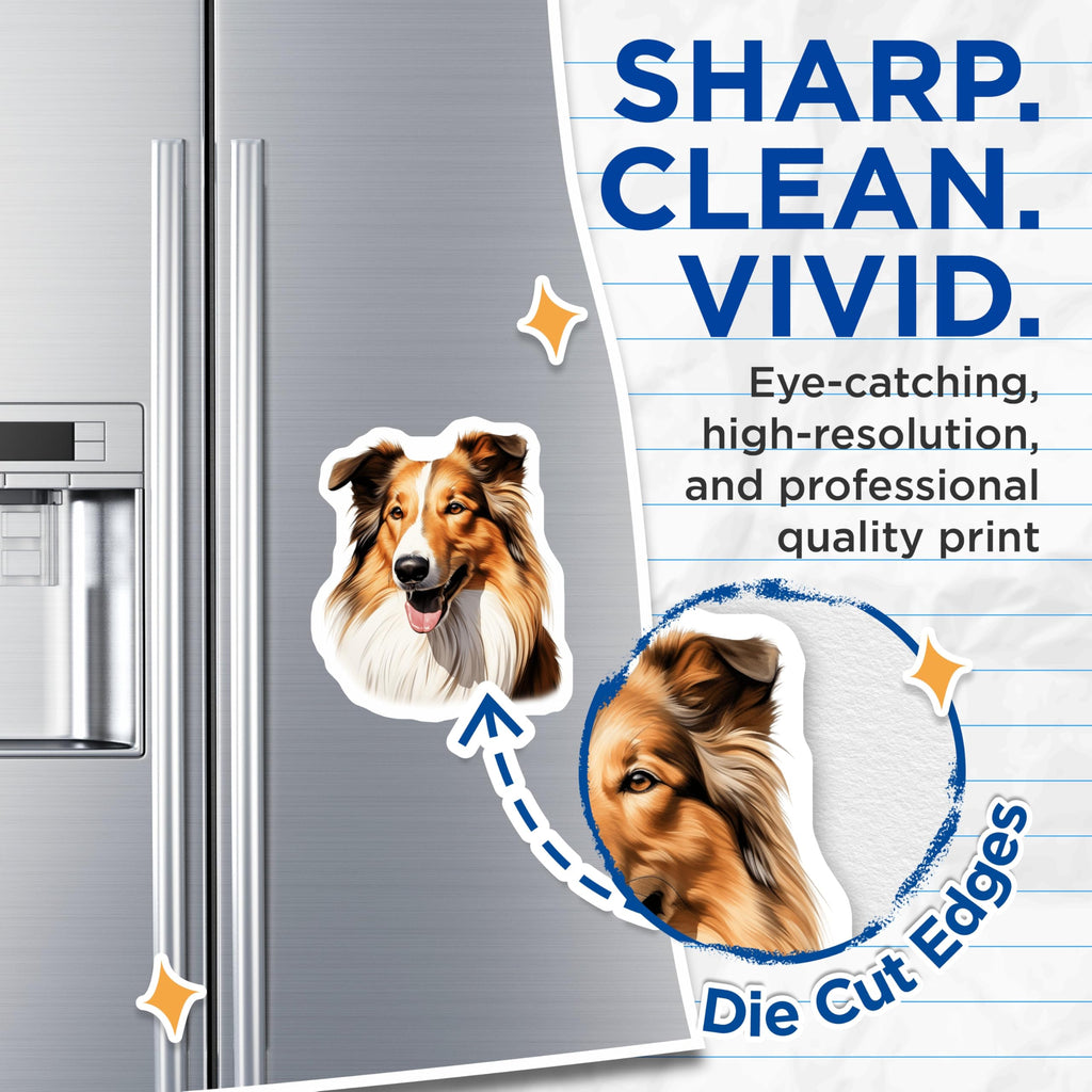 (2 Pack) Rough Collie Magnets - Shetland Sheepdog Art - Dog Lover Kitchen Decor - 5 Inches On Longest Side - Thick Durable Magnet - Made in USA - MAG25021