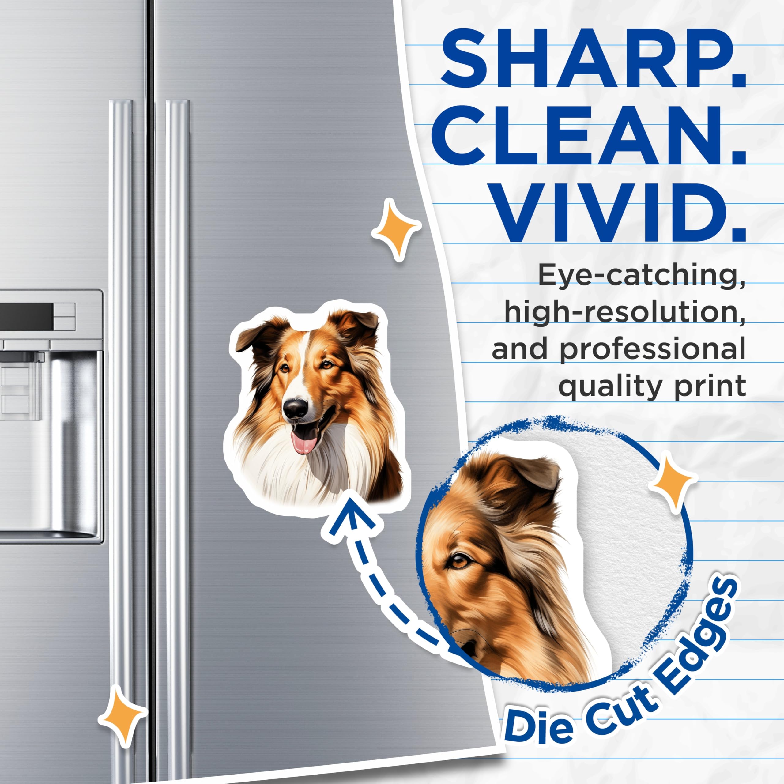 (2 Pack) Rough Collie Magnets - Shetland Sheepdog Art - Dog Lover Kitchen Decor - 5 Inches On Longest Side - Thick Durable Magnet - Made in USA - MAG25021